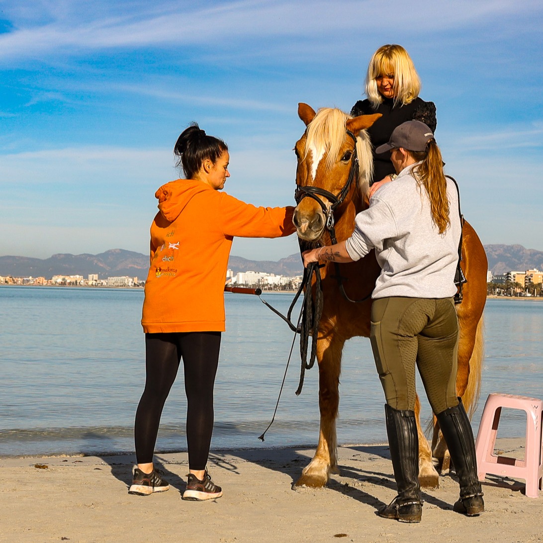 Pferde Erlebnisse auf Mallorca